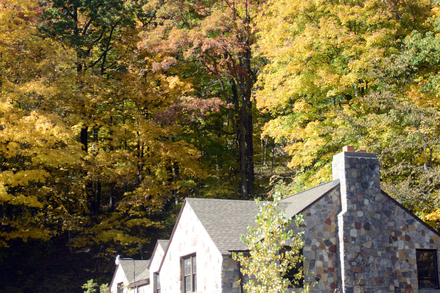 Baraboo area fall color, Oct. 8, 2020